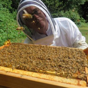 Sustainable Corporate Gifting Programs